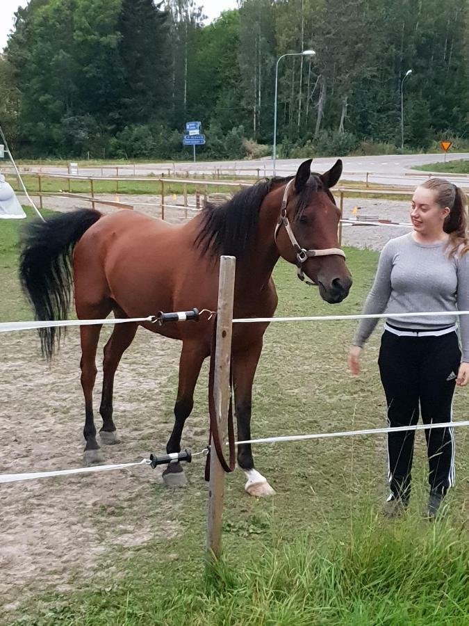 Myskje Gard Gastgiveri Soderala Luaran gambar