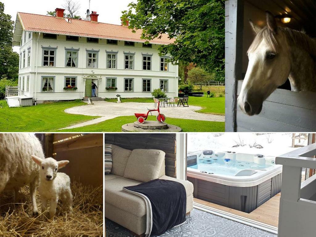 Myskje Gard Gastgiveri Soderala Luaran gambar